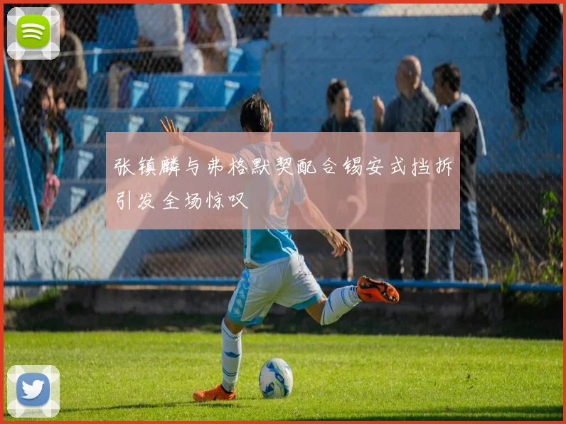 张镇麟与弗格默契配合锡安式挡拆引发全场惊叹