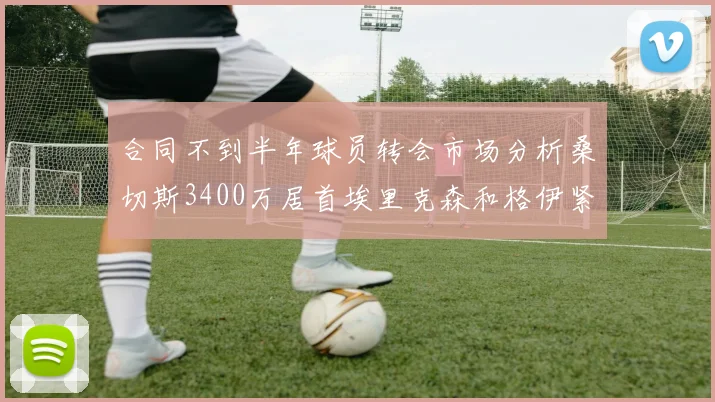 合同不到半年球员转会市场分析桑切斯3400万居首埃里克森和格伊紧随其后